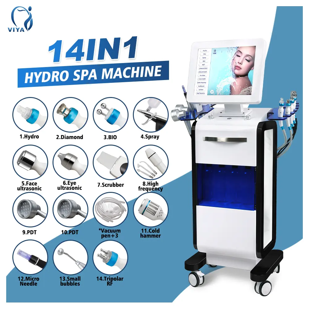 14 in 1 oxygen jet spa machine